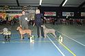 kerstshow 2008 056